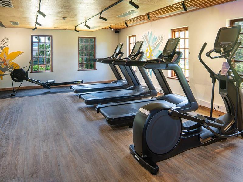 Fitnessraum mit mehreren Laufbändern, einem Rudergerät und großen Fenstern, helle Holzwände.