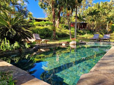 Čistý bazén obklopený rostlinami a lehátky za slunečného dne.