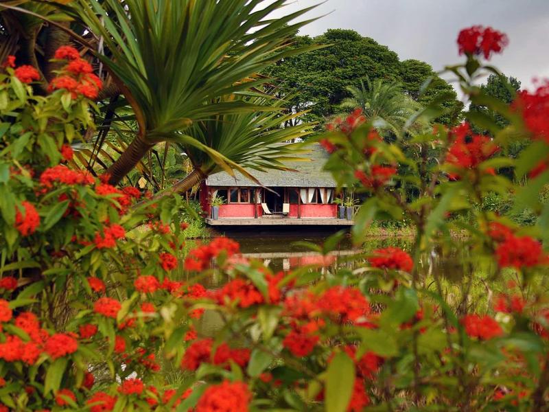Rotes und grünes Blütenfeld mit Palmen und einem kleinen Haus im Hintergrund.