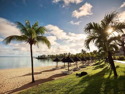 Strand met palmbomen, parasols en rustige zee op een zonnige dag