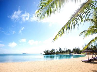Zandstrand met palmbomen en blauwe lucht aan de tropische kustlijn.