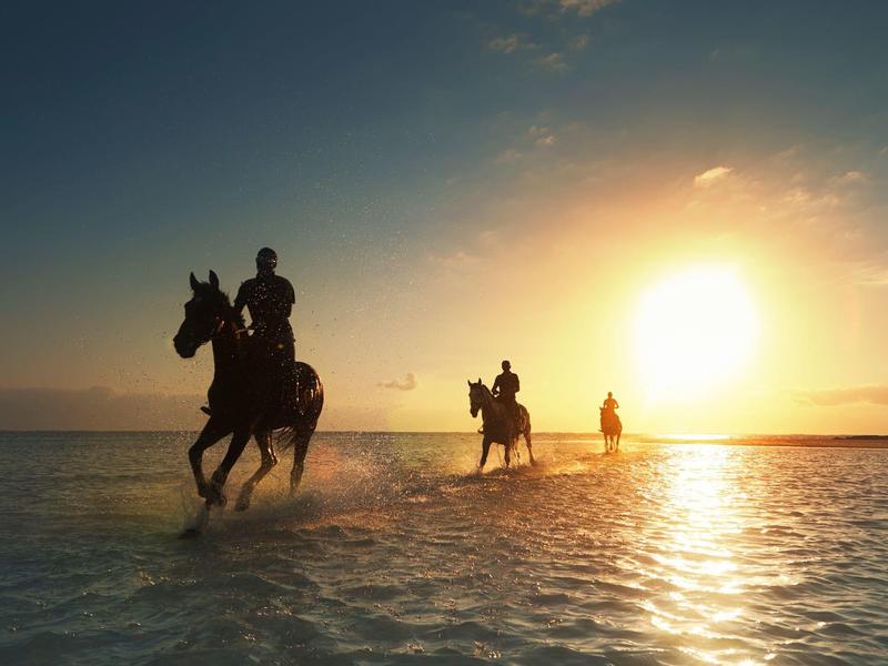Tři jezdci na koních v mělké vodě na pláži při západu slunce.