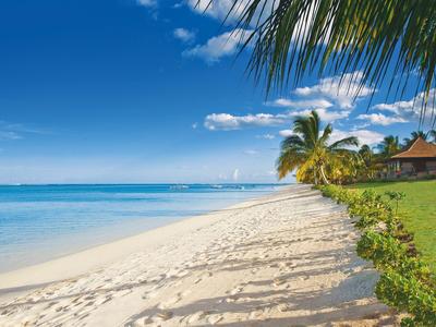 Weißer Sandstrand mit Palmen und klarem blauem Himmel neben einem Hotelgarten.