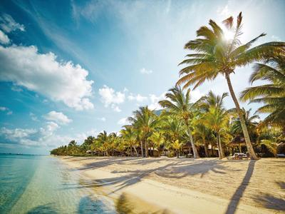 Een tropisch strand met wit zand, palmbomen en helder blauw water onder een zonnige hemel.