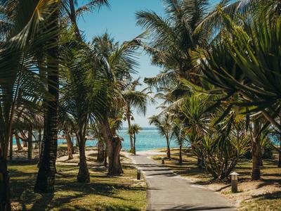 Ein gepflasterter Weg führt durch Palmen zu einem Strand mit Blick auf das blaue Meer.