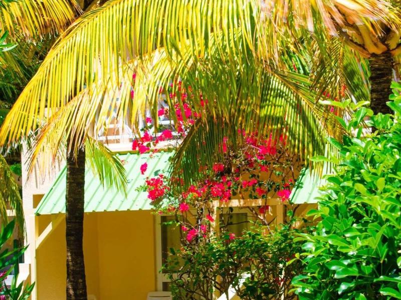 Casa vacanze gialla circondata da palme e fiori colorati in un ambiente tropicale.