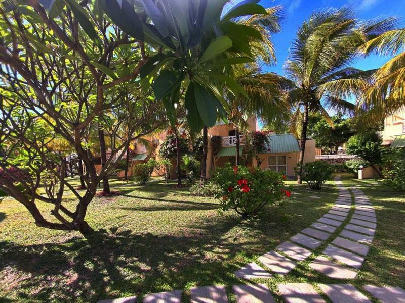 Giardino soleggiato con palme, arbusti fioriti e un sentiero lastricato che conduce a un alloggio.