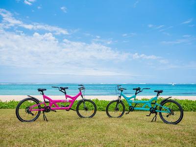 Zwei Tandemfahrräder, eines pink und eines blau, stehen auf gras vor dem Meer.