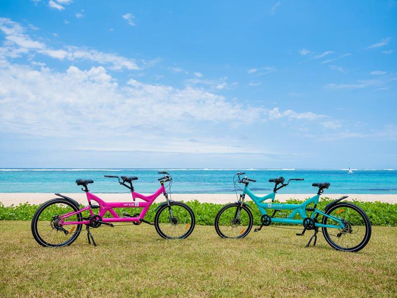 Zwei bunte Tandemfahrräder stehen auf grünem Gras vor blauem Meer und Himmel mit weißen Wolken.