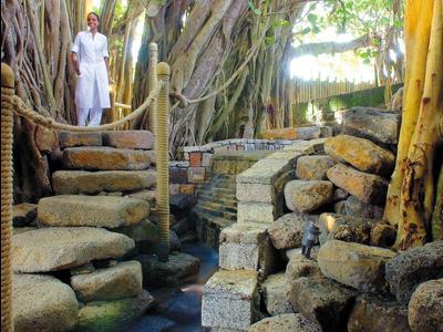 A man stands on stone steps beside a large tree with sprawling roots and branches.