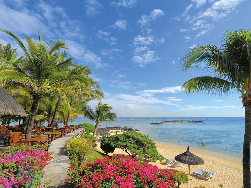 Small sandy beach with palm trees and colorful flowers under clear blue sky and calm sea.