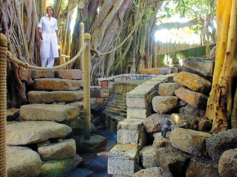 A man stands on stone steps beside a large tree with sprawling roots and branches.
