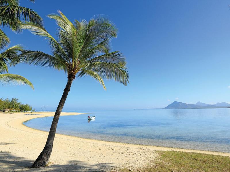 Strand mit Palmen, weißem Sand und ruhigem Meer unter klarem blauem Himmel.