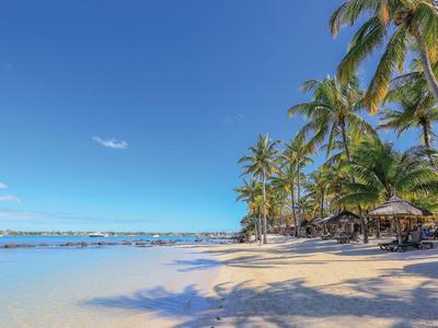 Sunny beach with palm trees and calm sea under a clear blue sky.