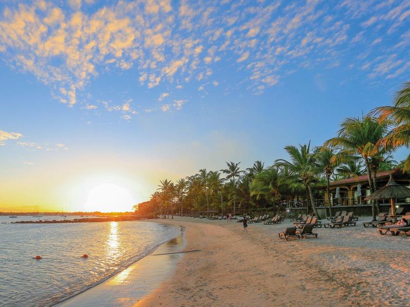 Sunset at the beach with palm trees, sand, and calm sea in a tropical vacation spot.