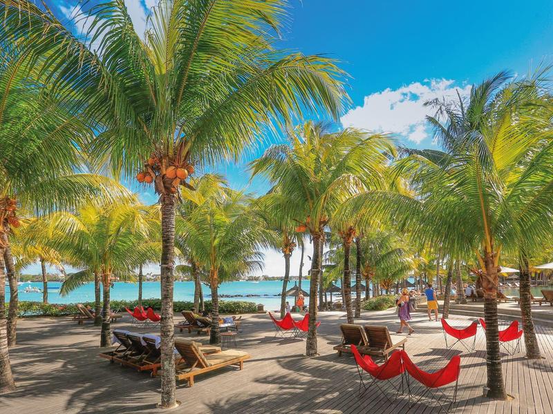 Palm trees, hammocks, and lounge chairs on a beach with clear blue sky and sea.