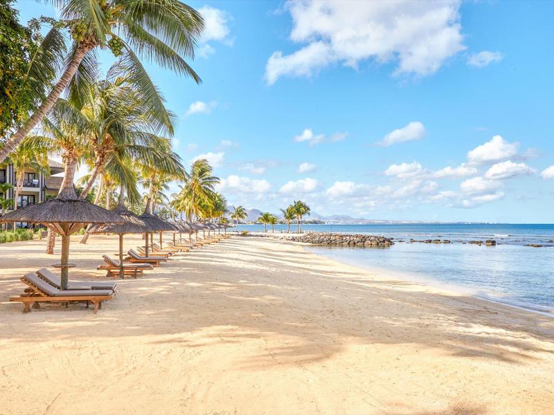 A sunny sandy beach with loungers, palm trees, and clear blue sky by the sea.