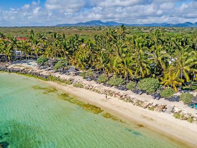 Langer Sandstrand mit klarem grünem Wasser und dichtem Palmenwald im Hintergrund unter blauem Himmel.