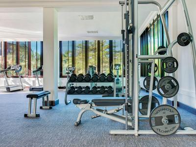 Moderner Fitnessraum mit Geräten und Hanteln, großen Fenstern mit Blick ins Grüne.