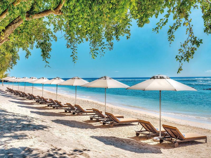 Rij ligstoelen met parasols op een zonnig zandstrand onder bomen.