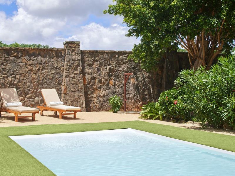 Aantrekkelijk zwembad met ligstoelen, stenen muur en weelderig groen in zonlicht.