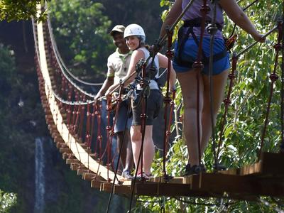 Personen gehen auf einer Hängebrücke im Dschungel, gesichert mit Kletterausrüstung