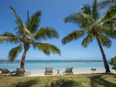 Strand mit Palmen, Liegestühlen, grünem Gras und ruhigem, blauem Meer im Hintergrund.