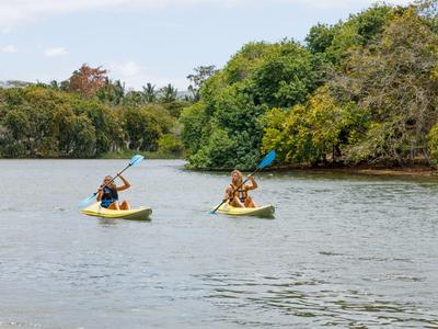 Zwei Personen paddeln in Kajaks auf einem Fluss mit grüner Ufervegetation.