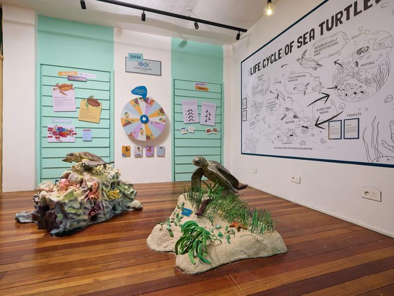 Galerie s tématem mořských želv a sochami na dřevěné podlaze.