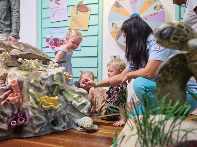 Děti a dospělí si hrají s realistickým modelem mořské želvy uvnitř.
