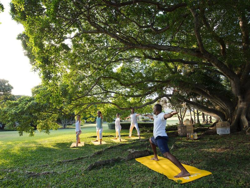 Fünf Personen üben Yoga im Park unter großen Bäumen auf der grünen Wiese bei Sonnenschein.