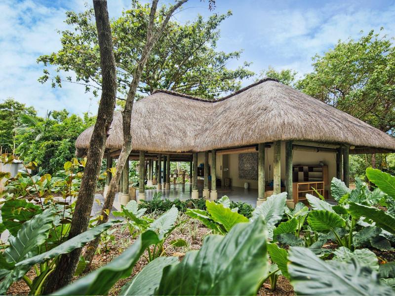Haus mit Strohdach im Grünen, umgeben von großen Blättern und Baumstämmen bei blauem Himmel.