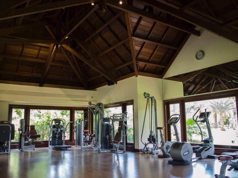 Großer Fitnessraum mit Holzdecke, Licht durch Fenster und verschiedenen Trainingsgeräten.