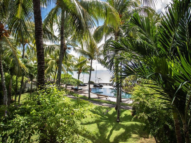 Vista a través de palmeras hacia una piscina con tumbonas en un complejo hotelero tropical.