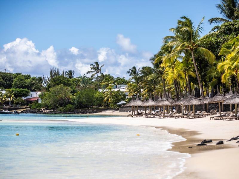 Playa de arena con palmeras y sombrillas en costa tranquila bajo cielo azul.