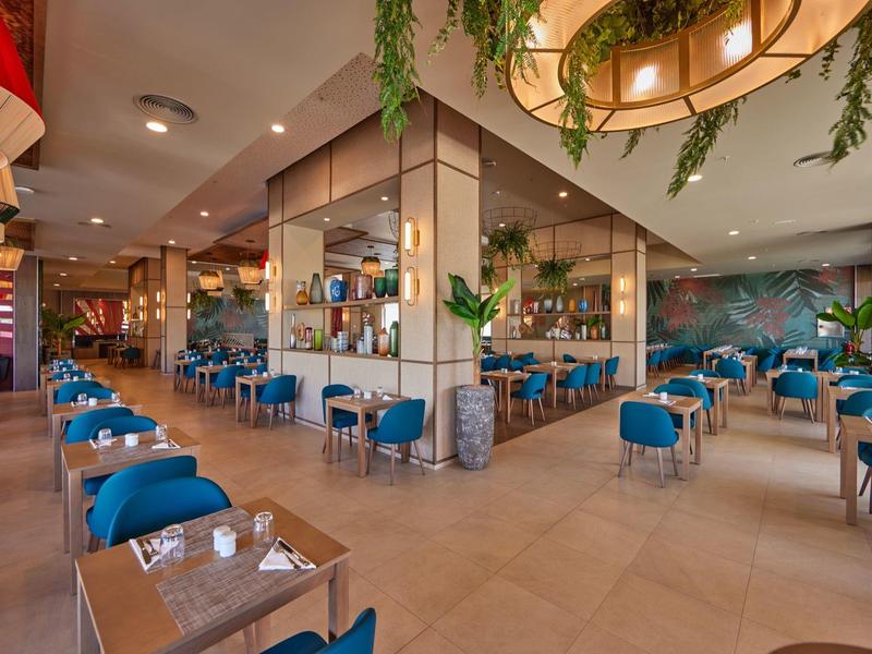 Modernes Restaurant mit blauen Stühlen und Tischen in einem hellen, stilvollen Innenraum.