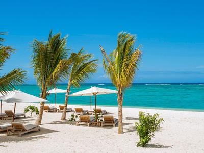 Beach with white umbrellas, palm trees, and clear turquoise water under a blue sky.