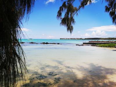 Pokojná pláž s čistou vodou a stromy na okraji pod modrou oblohou.