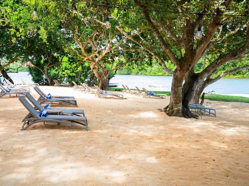 Několik lehátek pod stinnými stromy na pláži s výhledem na moře.