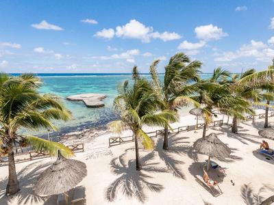 Strand mit Palmen, Liegestühlen und Sonnenschirmen am türkisfarbenen Meer unter blauem Himmel.