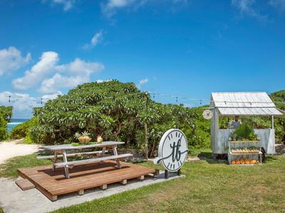 Slunečná pláž s piknikovým stolem, rostlinami a cedulí na trávě pod modrou oblohou.