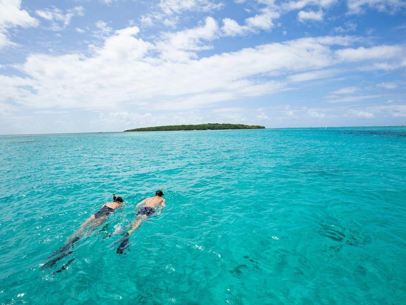 Dva šnorchlovací plavci plavou v průzračné tyrkysové vodě poblíž malého ostrova pod modrou oblohou.