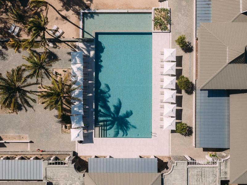 Vue aérienne d'une piscine rectangulaire avec des chaises longues blanches et des ombres de palmiers.