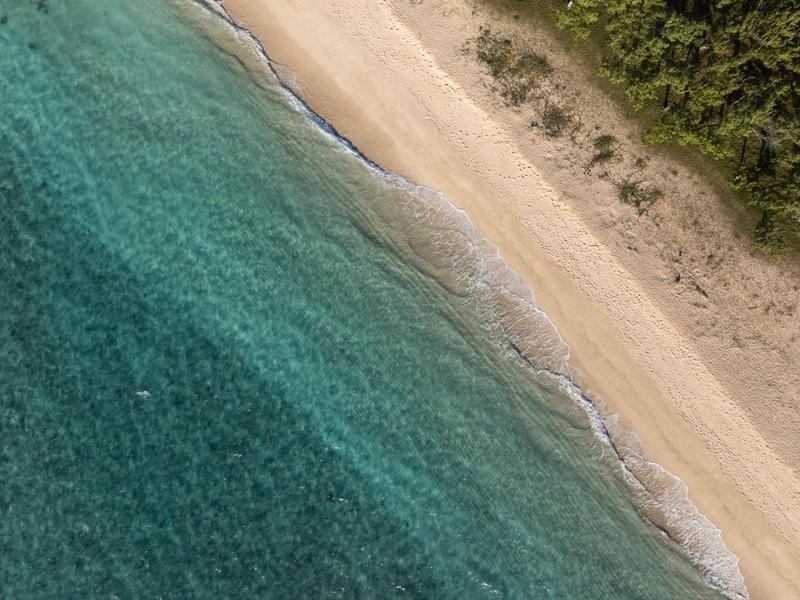 Letecký pohled na klidnou písečnou pláž s čistou tyrkysovou vodou a keři na okraji.