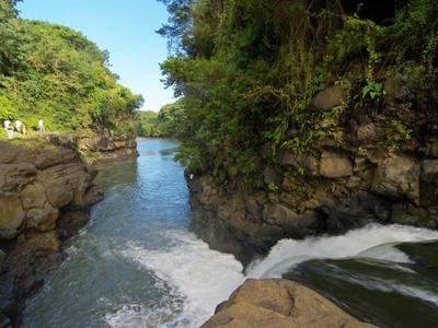 Rivière coule à travers un paysage rocheux boisé sous un ciel clair.
