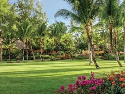 Grüner Garten mit Palmen, blühenden Sträuchern und kleinen Strohhütten im Hintergrund.