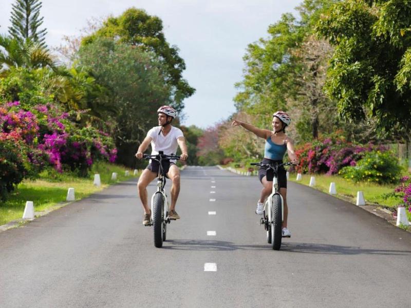 Twee mensen fietsen op een met bomen omzoomde weg op een zonnige dag.