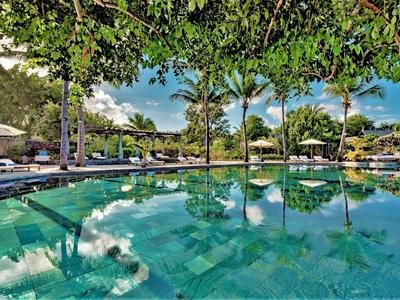 Blick auf einen Pool mit klar reflektierendem Wasser und Palmen unter grünem Blätterdach.