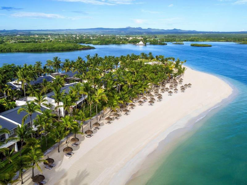 Aerial view of a tropical beach with palm trees and clear blue water.