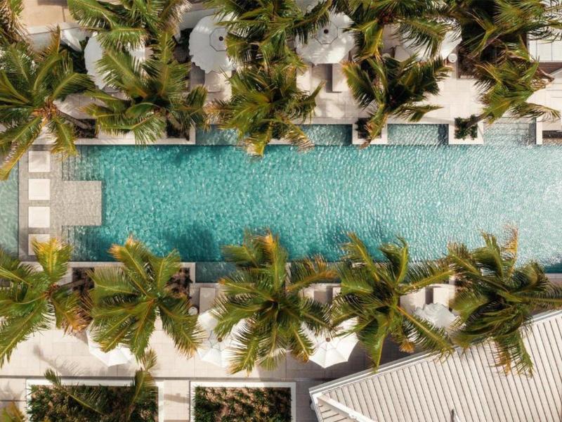 Aerial view of a long swimming pool with palm trees and lounge chairs on both sides.